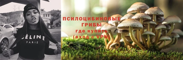 ешки Зеленодольск