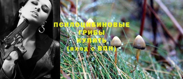 ешки Зеленодольск