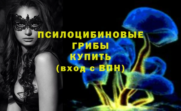 кокаин премиум Зерноград