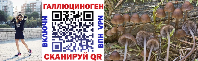 купить закладку  Магнитогорск  Псилоцибиновые грибы Cubensis 